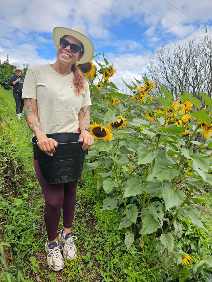 Medellin: Guatape, El Peñol Coffee Farm Private Tour & Fruit - Guide quality and language support