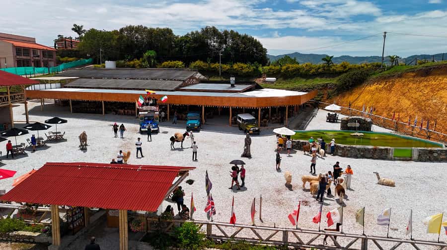 Medellín: Guatapé Private Tour with Helicopter & Boat Ride - Who should book this private Guatapé experience?