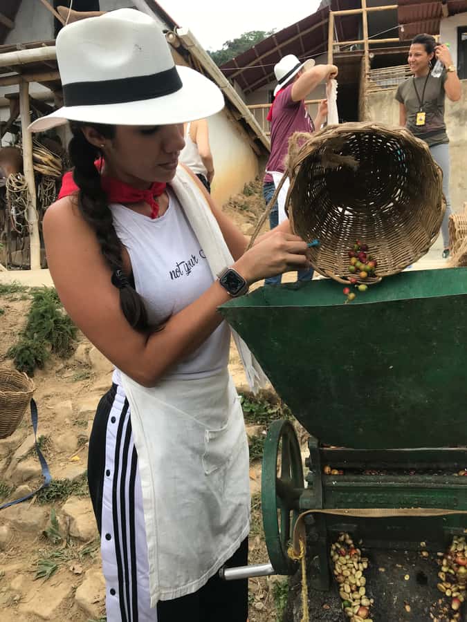Medellín: Guatape Village with Coffee and Fruit Tasting Tour - What the $174 price includes