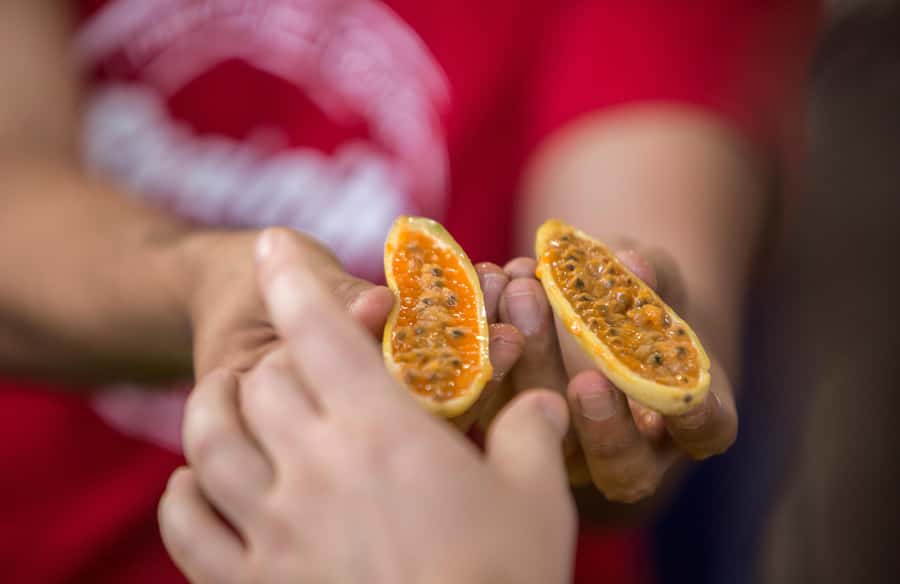 Medellín: Guided Exotic Fruits Tour - Fresh juice and time to buy more fruit