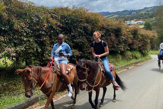 Medellin: Horseback Riding Adventure In Nature (Don't Overpay) - Meeting the horses at the ranch