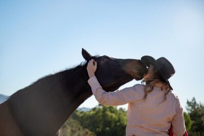 Horseback Riding Adventure In Nature (Don’t Overpay)