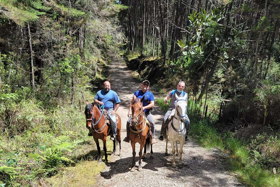 Medellin: Horseback Riding Coffee Farm Tour with Coffee Spa - The Coffee Spa: Steam, Cold Water, and Massage