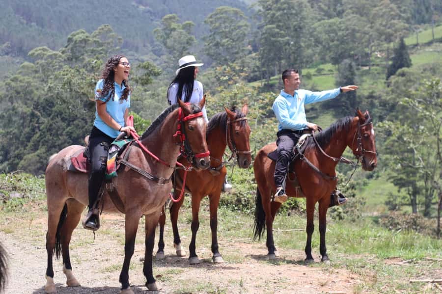 Medellin: Horseback Riding in the Medellin Mountains - Two hours on ecological trails