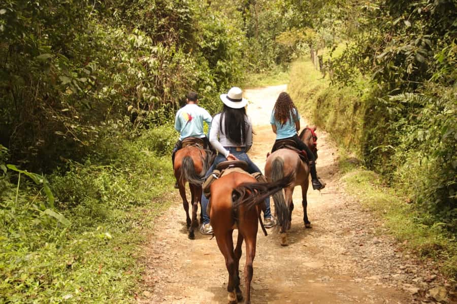 Medellin: Horseback Riding in the Medellin Mountains - Is $70 a fair price?