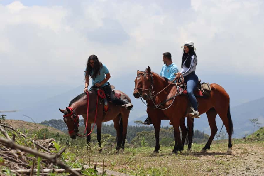 Medellin: Horseback Riding in the Medellin Mountains - Who should book this mountain ride?