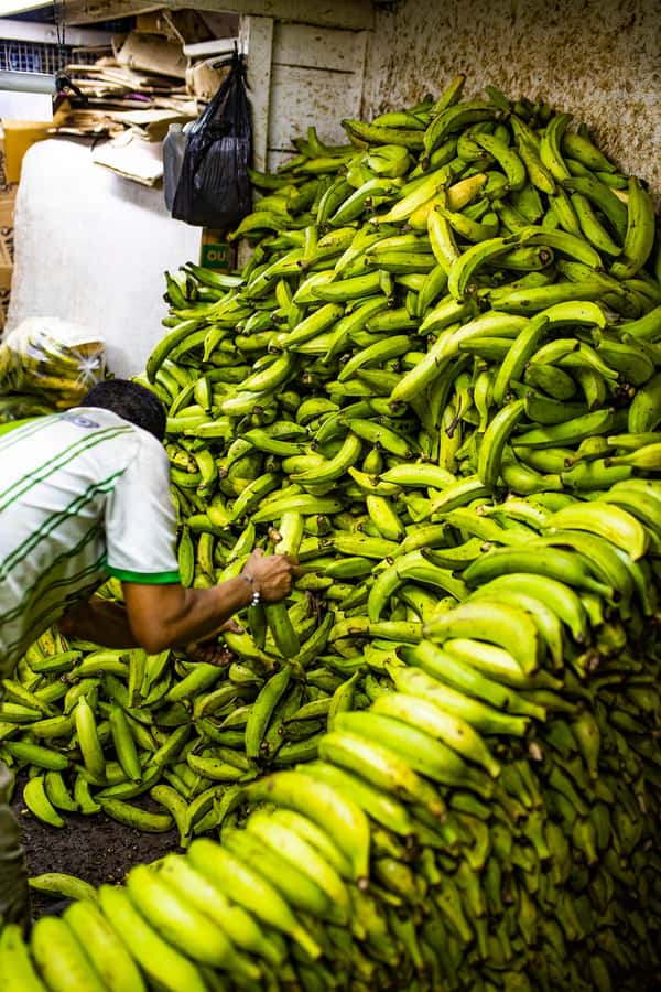 Medellín Multi-sensory Tour in the market, +15 Exotic Fruits - A realistic look at the drawbacks