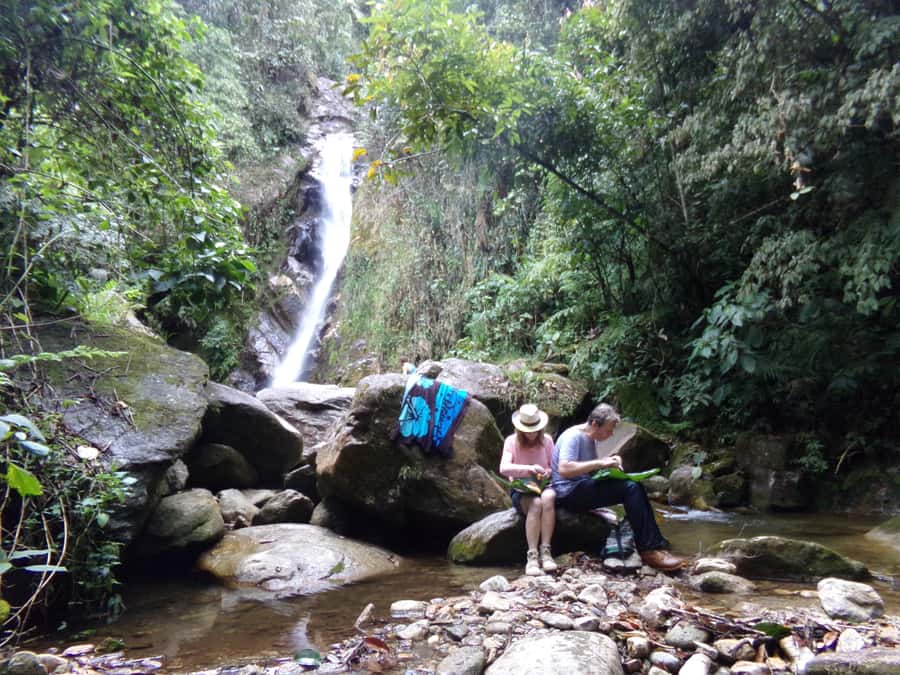 Medellín: Nature Experience & Waterfall-Hike - From Medellín streets to Antioquia forest