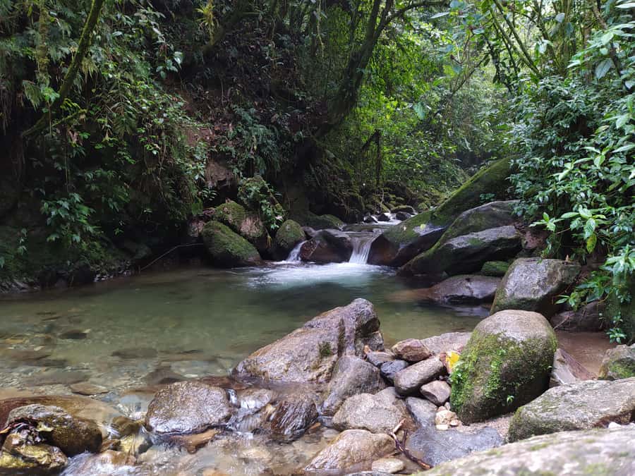 Medellín: Nature Experience & Waterfall-Hike - Reaching the 20-meter La Miel waterfall