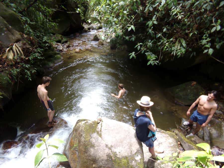 Medellín: Nature Experience & Waterfall-Hike - A closer look at the schedule
