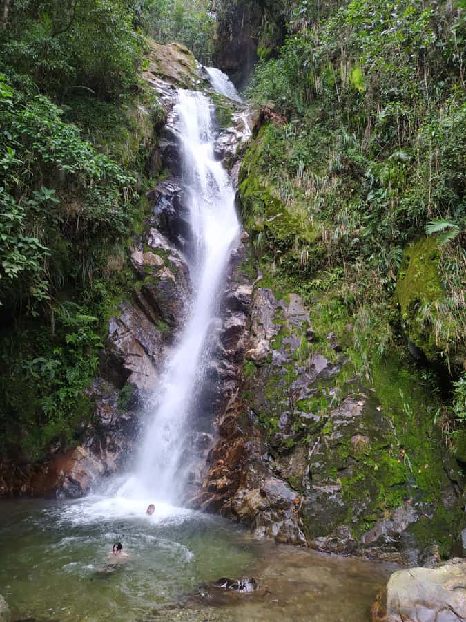 Medellín: Nature Experience & Waterfall-Hike - Who will enjoy La Miel most