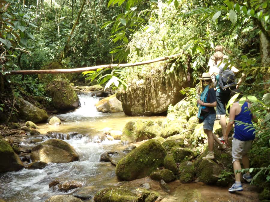 Medellín: Nature Experience & Waterfall-Hike - Booking details worth checking