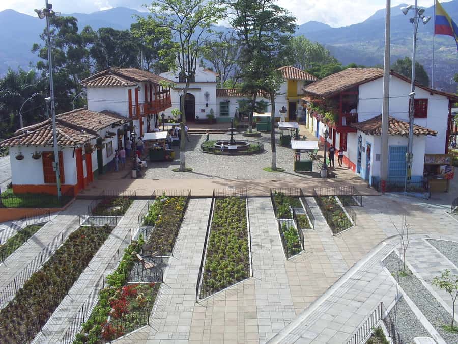 Medellin: Private City Tour - Timing, comfort, and practical limits