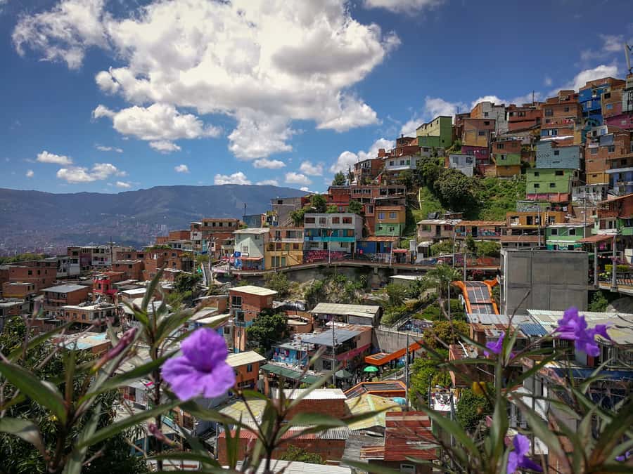 Medellín: Private City Tour with Metrocable and Comuna 13 - Who should choose this private tour?