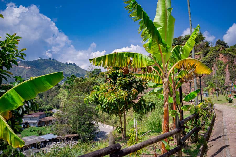 Medellín: Private Guatapé Tour w/ Breakfast, Lunch & Cruise - A reservoir cruise with music and hilltop views