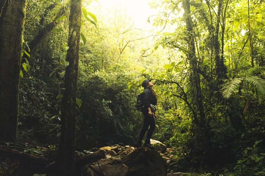 Medellín: Secret Waterfall Hike Tour with Snack and Coffee - Coffee, a cheese sandwich, and a banana