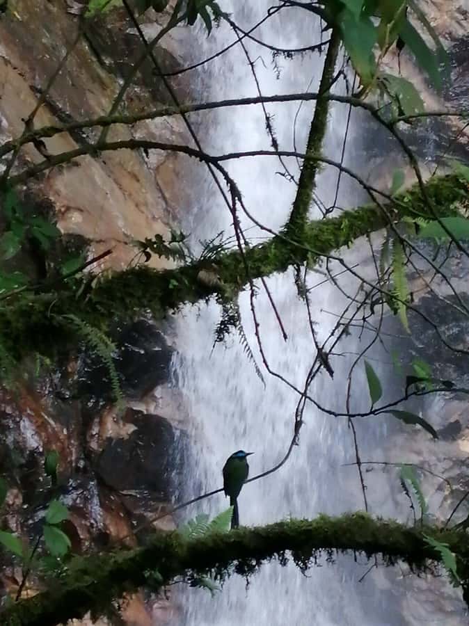 Medellín: Secret Waterfall Hike Tour with Snack and Coffee - What the $62 price really covers