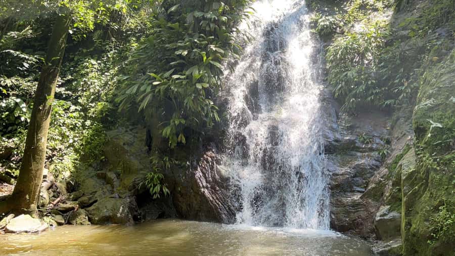 Minca: Hidden Waterfall + Coffee and Cocoa Workshop - Why this Minca day works well from Santa Marta