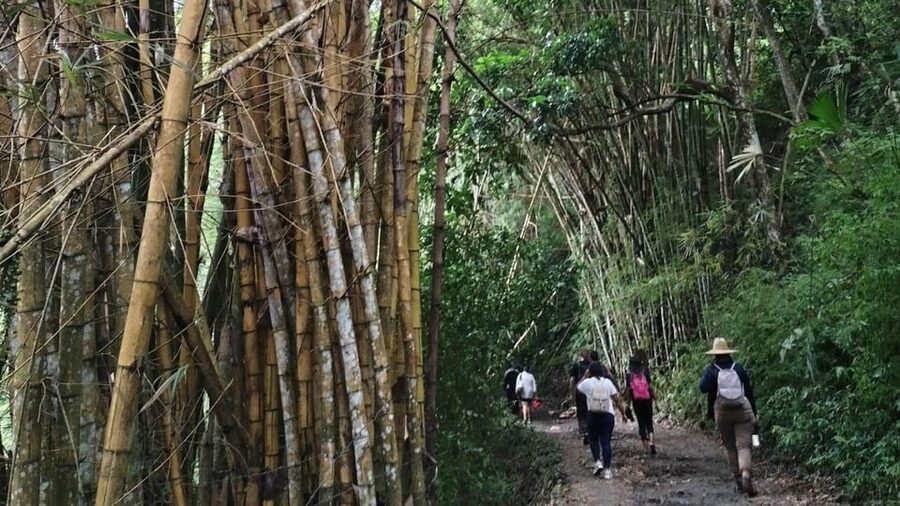 Minca: Hidden Waterfall + Coffee and Cocoa Workshop - Reaching Cascada Escondida by a short second walk