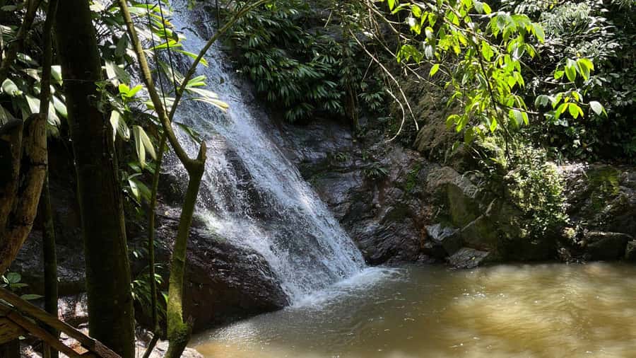 Minca: Hidden Waterfall + Coffee and Cocoa Workshop - Lunch after the forest walk
