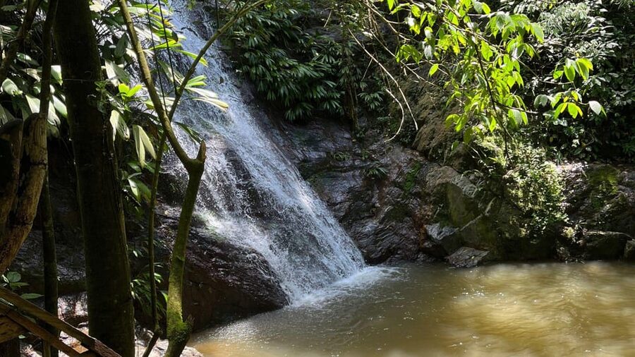 Minca: Hidden Waterfall + Coffee and Cocoa Workshop - Who should book this tour