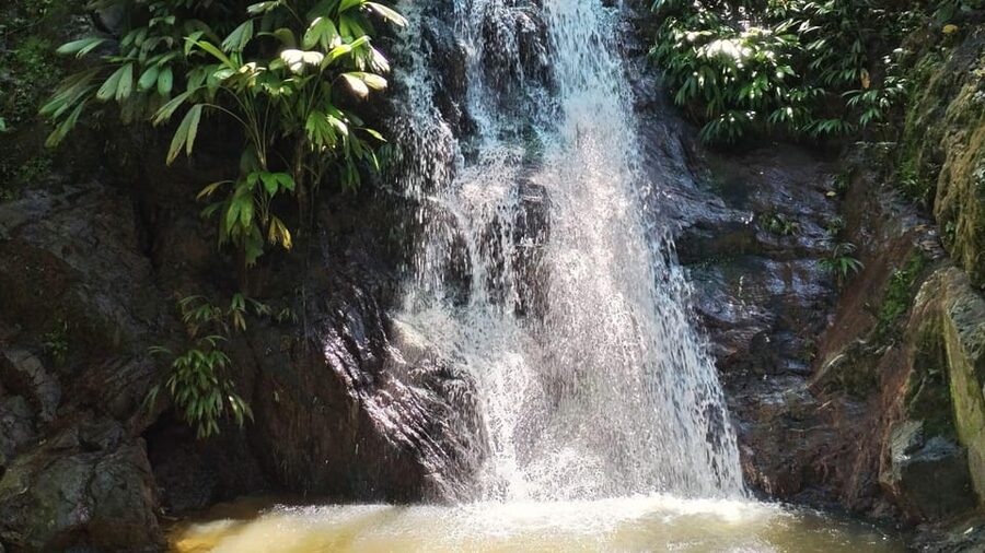 Minca: Hidden Waterfall + Coffee and Cocoa Workshop - What to pack for the trails and swim