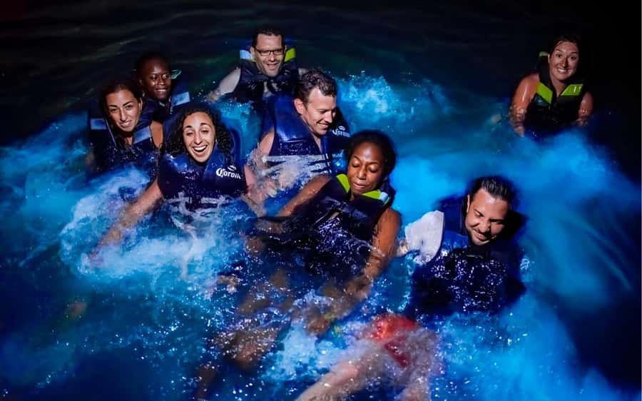 National Aviary and Playa Blanca Plankton Full-Day Tour - The National Aviary deserves your best attention