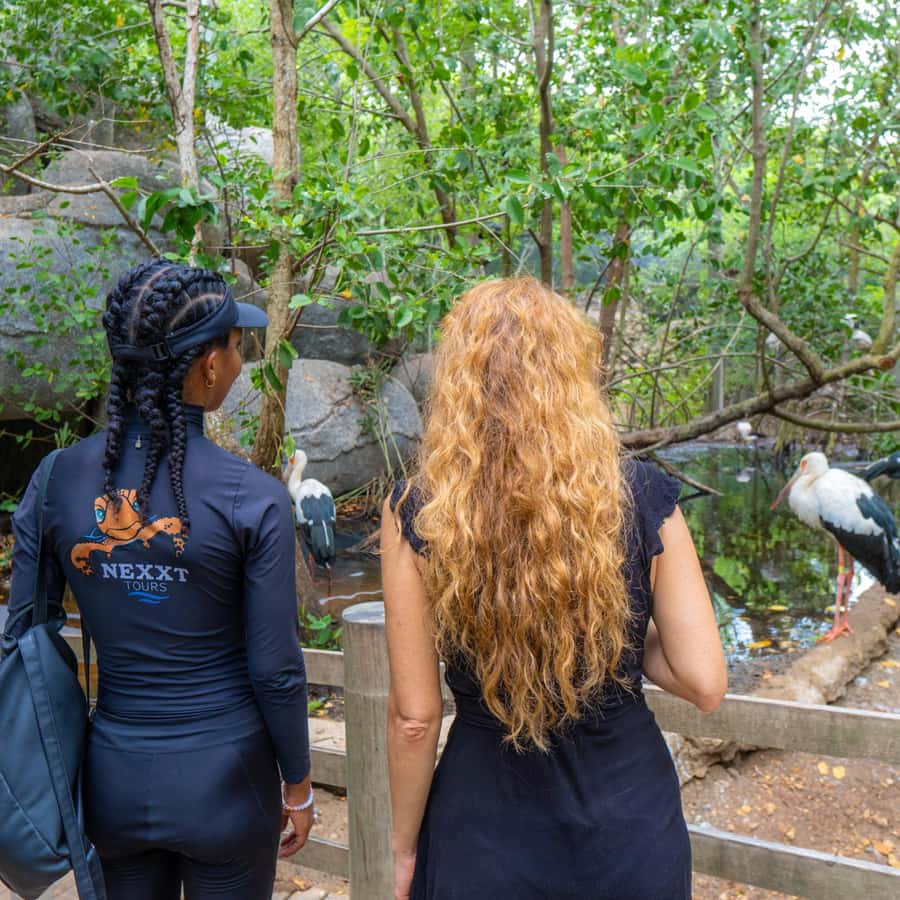National Aviary and Playa Blanca Plankton Full-Day Tour - Four hours at Mambo Beach Club on Barú