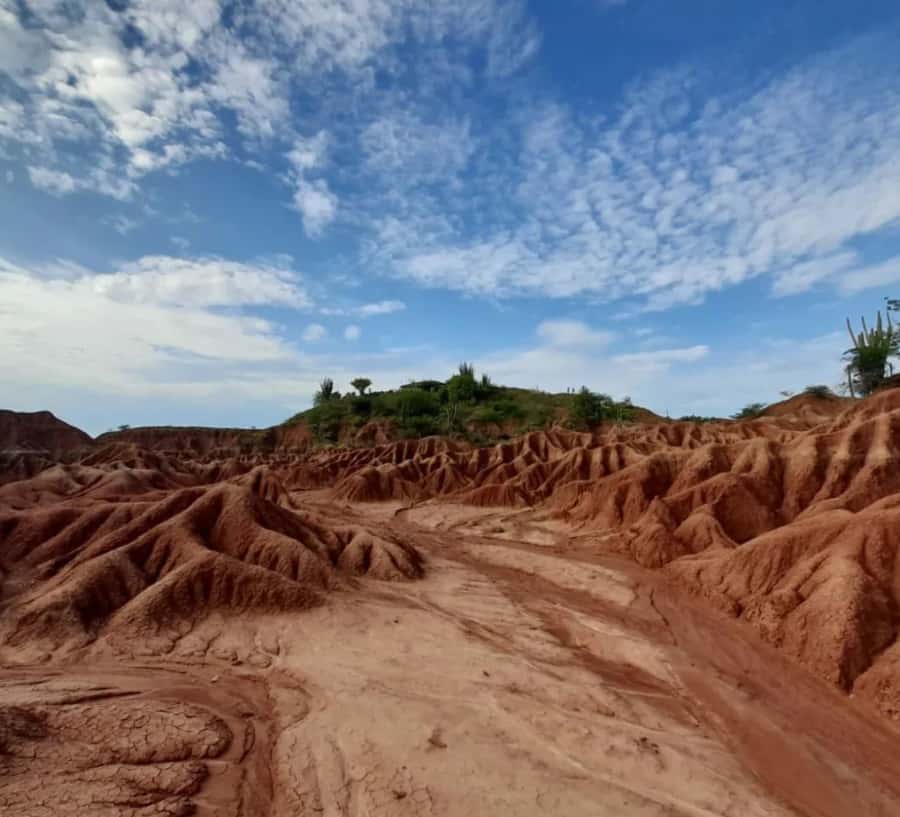 Neiva: Guided Day Trip to the Tatacoa Desert with Lunch - Key points before you book