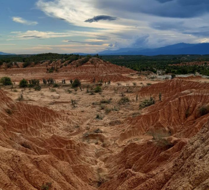 Neiva: Guided Day Trip to the Tatacoa Desert with Lunch - Sunset at the Cuzco Labyrinth
