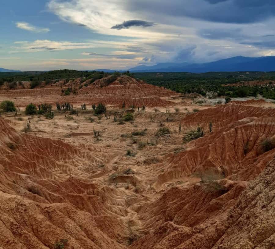 Neiva: Guided Day Trip to the Tatacoa Desert with Lunch - Villavieja adds more than a roadside stop