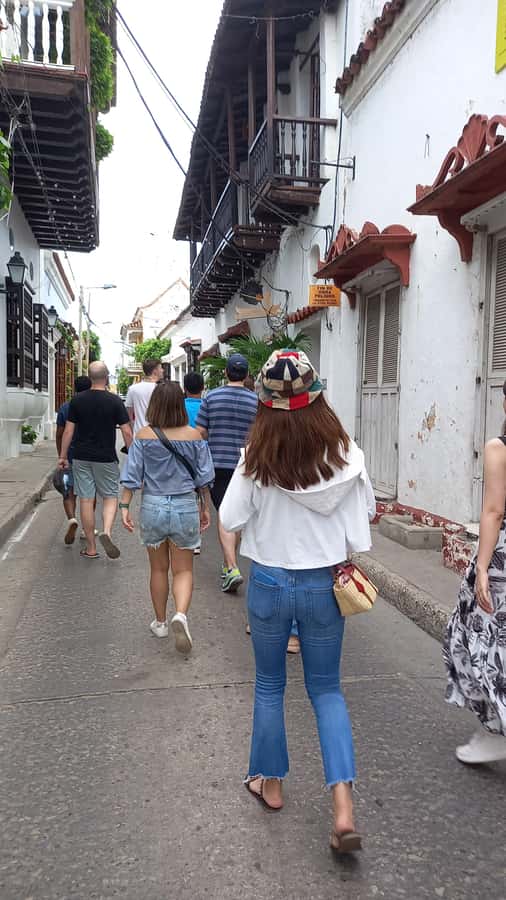 Old City Cartagena Private Tour - Who should book this Cartagena tour?