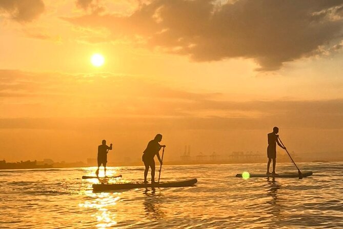 Paddleboard Tour - The first lesson: what beginners really do