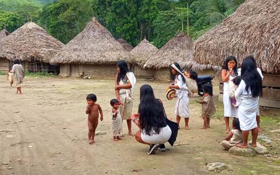 Palomino: Private Tour to Tungueka Indigenous Village - Meeting the Kogi in Tungueka