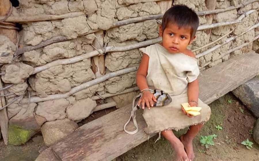 Palomino: Private Tour to Tungueka Indigenous Village - Walking through the mountain reserve