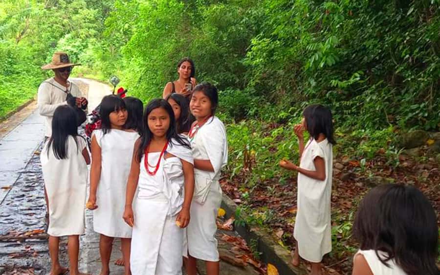 Palomino: Private Tour to Tungueka Indigenous Village - Guide language and the private group format