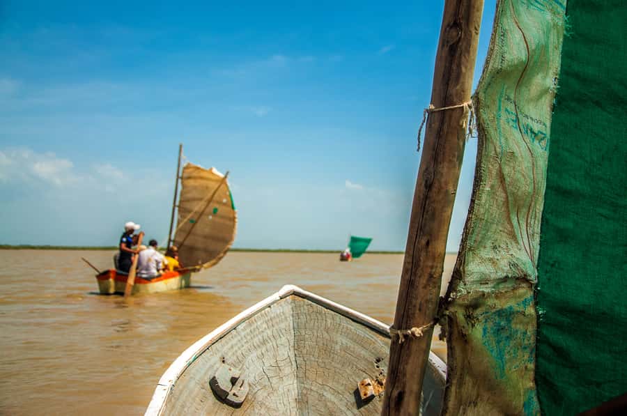 Palomino: Sanctuary of Flamingos Day Tour - Key points to know before you book