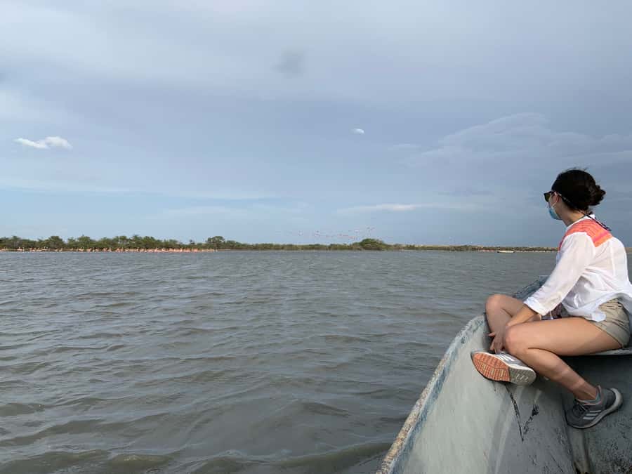 Palomino: Sanctuary of Flamingos Day Tour - Sailing the salty lagoon beside flamingos