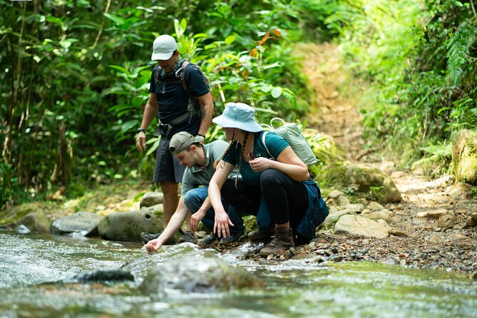 Pance Waterfalls: Hike to discover the biodiversity of the valley - Starting in La Voragine at 7:00 am