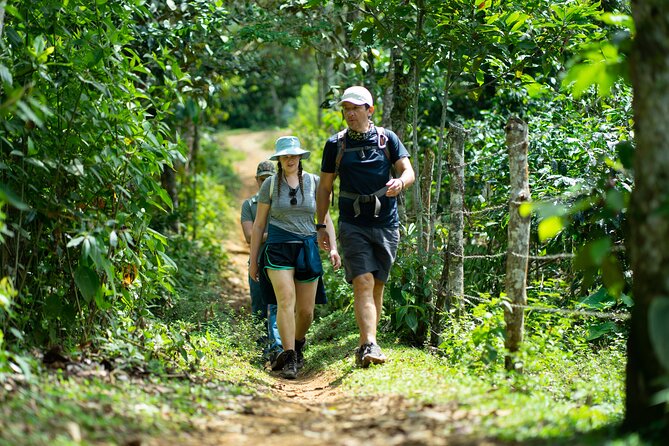 Pance Waterfalls: Hike to discover the biodiversity of the valley - Four hours among Pance waterfalls