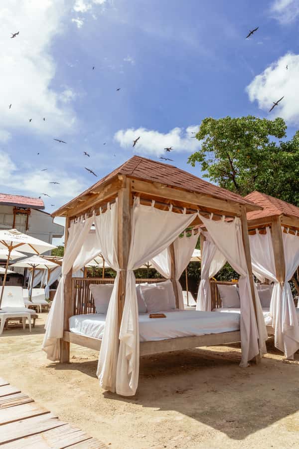 PAO PAO BEACH CLUB - Lunch with five choices, plus drinks and a cocktail