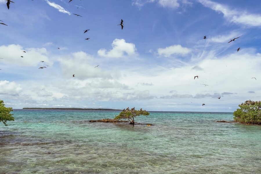PAO PAO BEACH CLUB - Timing, meeting point, and the boat ride