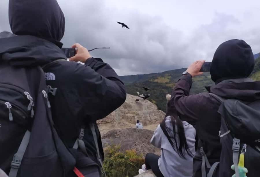 Popayan: Condor Watching in Purace + San Juan Hot Springs - Key points to know before booking