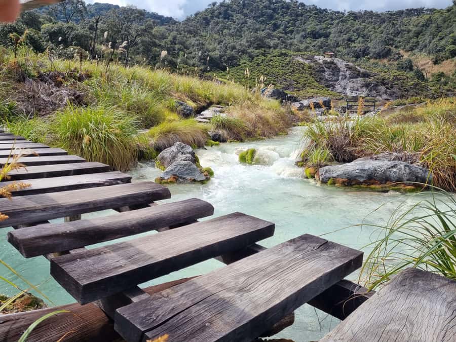 Popayan: Condor Watching in Purace + San Juan Hot Springs - Who should book this Puracé day trip?