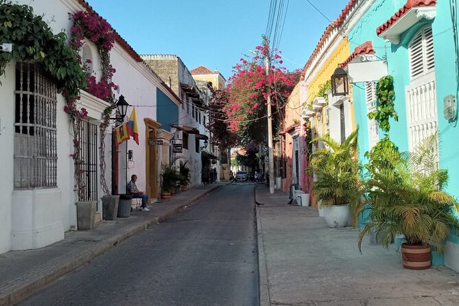 Private Cartagena city and street food tour. - Who will get the most from the $90 price