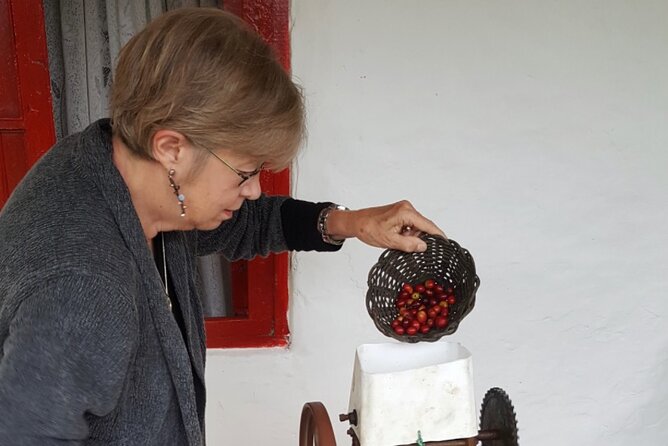 Private coffee tour near Medellín, from bean to cup. - Watching the coffee process continue