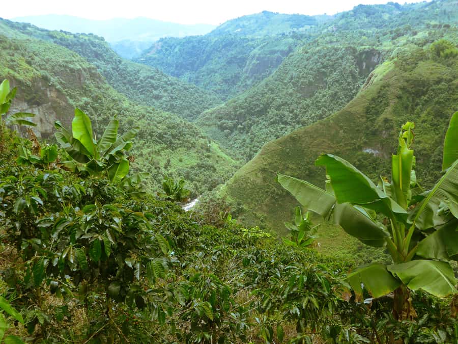 Private Jeep Tour to the Surroundings of San Agustín - Obando combines a village visit with archaeology