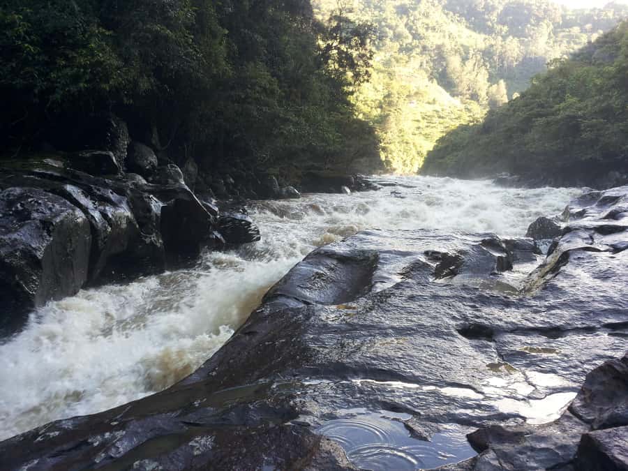 Private Jeep Tour to the Surroundings of San Agustín - The Estrecho del Río Magdalena starts the day
