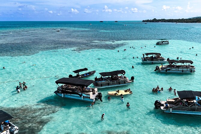 Private Marine Tour: Discover the 7 Colors of the San Andreas Sea - Key points to know before booking