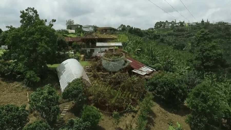Salento and Cócora Tour + Coffee Farm from Pereira/Armenia - Why these three stops work together